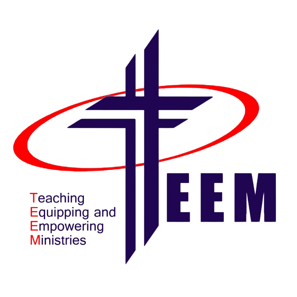 TEEM Logo